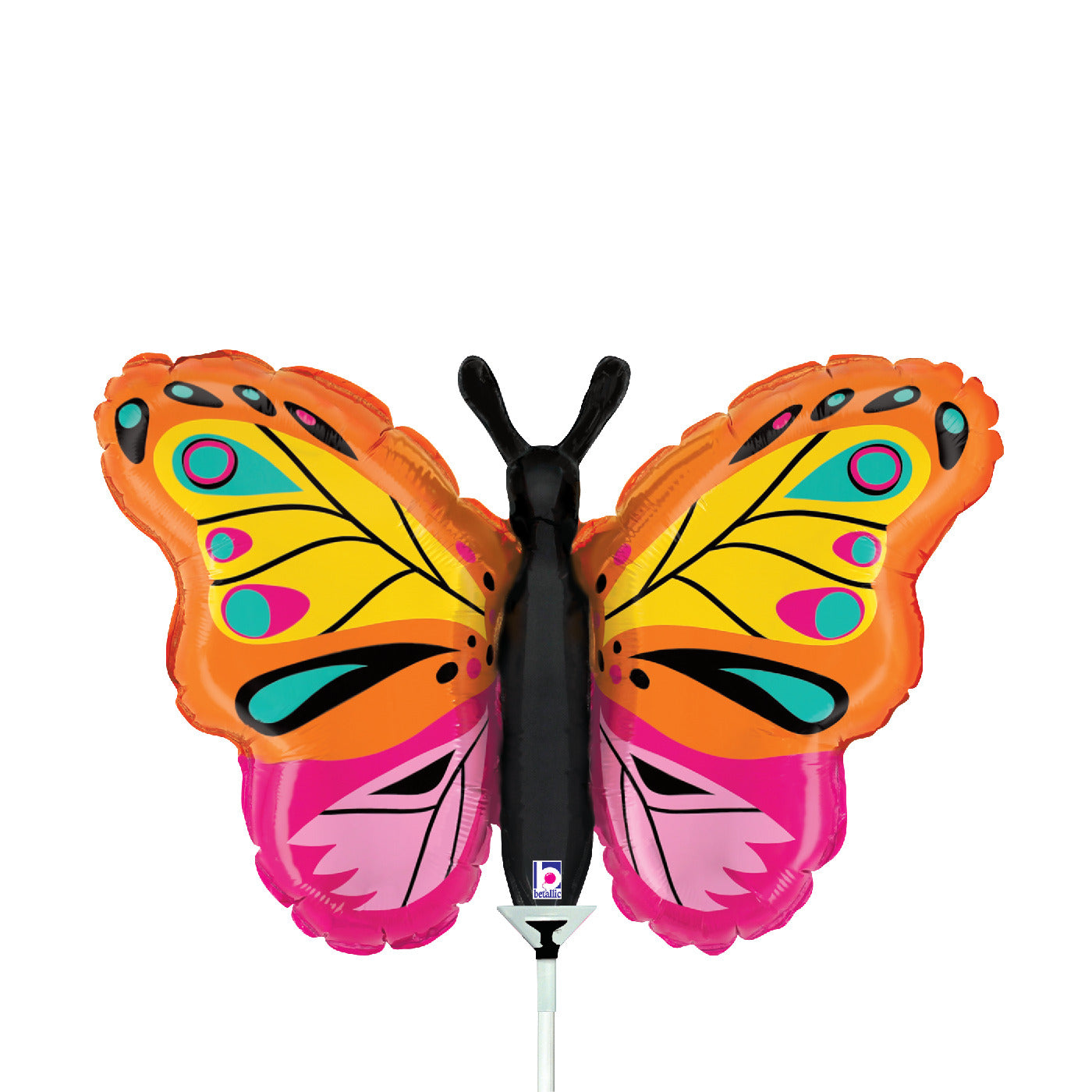 Colorful Butterfly