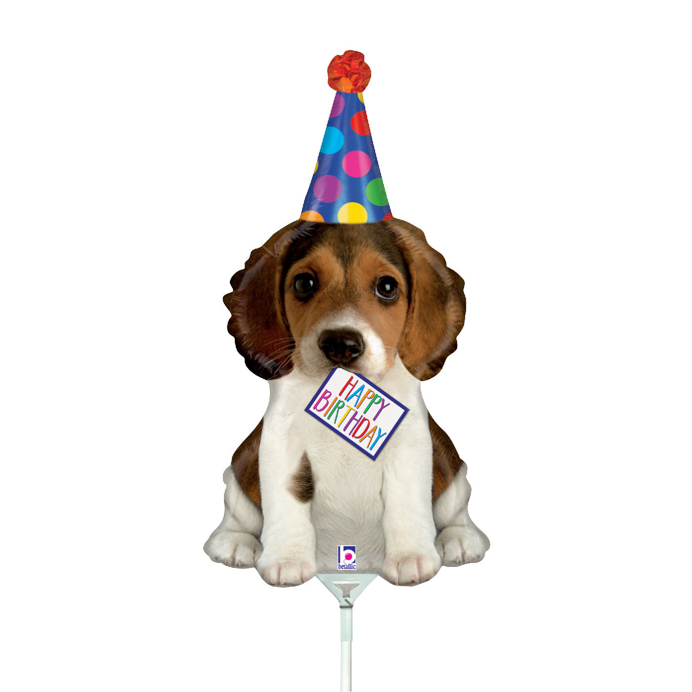 Birthday Puppy