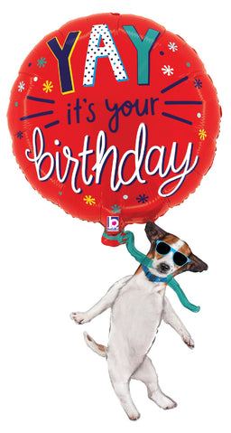 YAY Birthday Dog