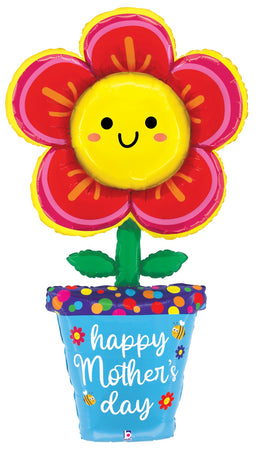 Special Delivery Mother's Day Flower Pot