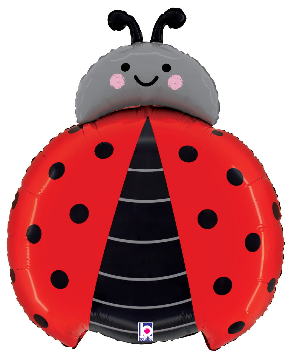 Ladybug