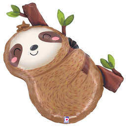 Cute Sloth