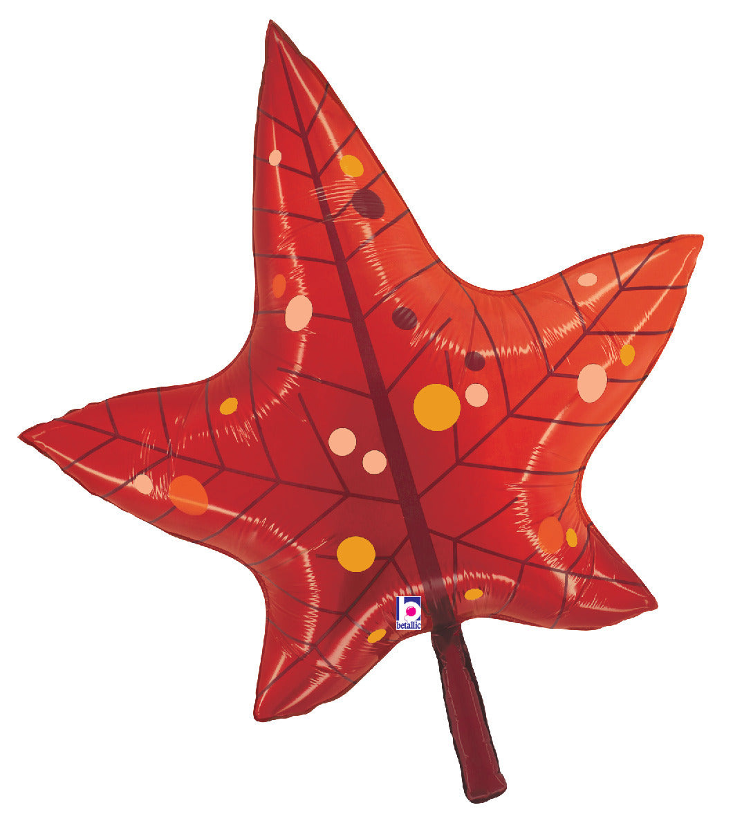 Fall Red Leaf
