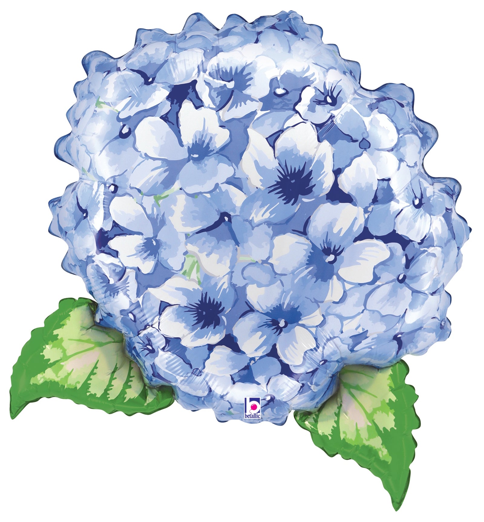 Hydrangea