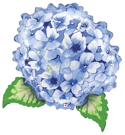 Hydrangea