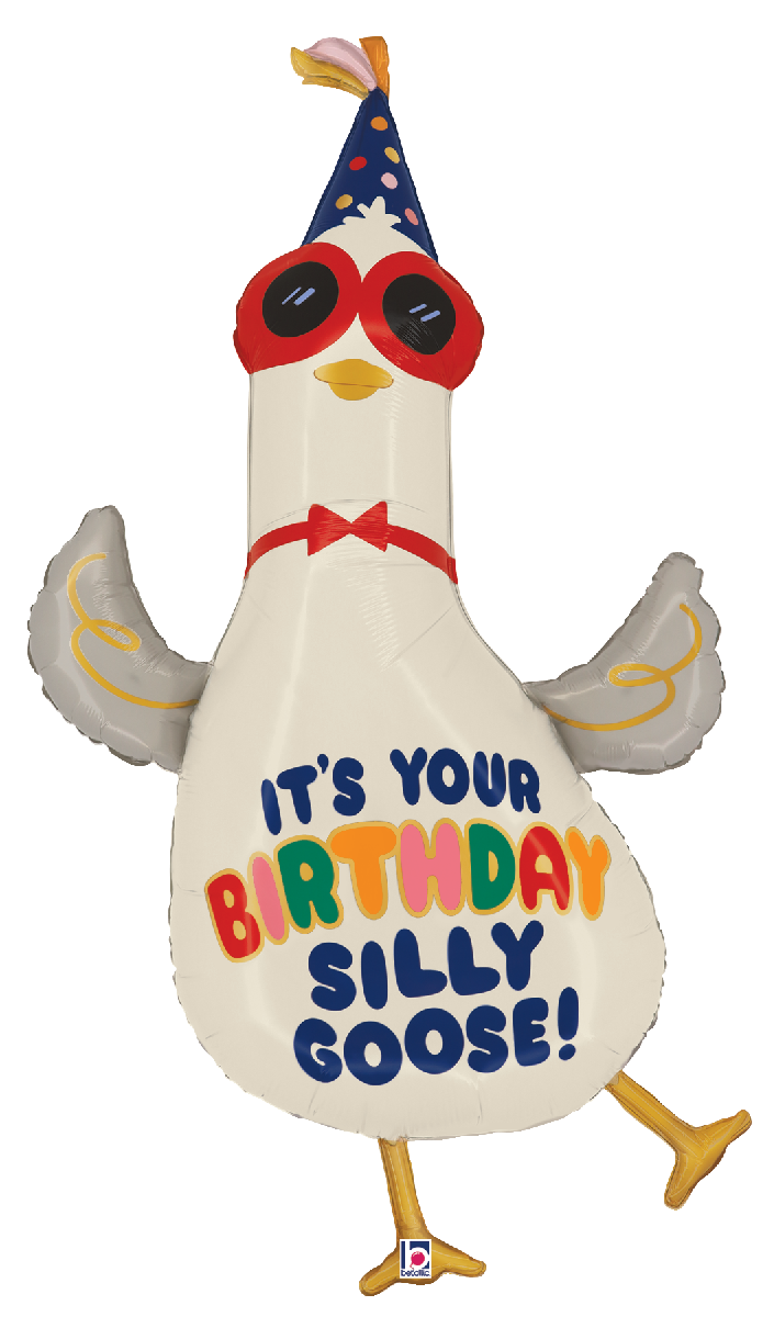 Silly Goose Birthday