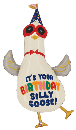 Silly Goose Birthday