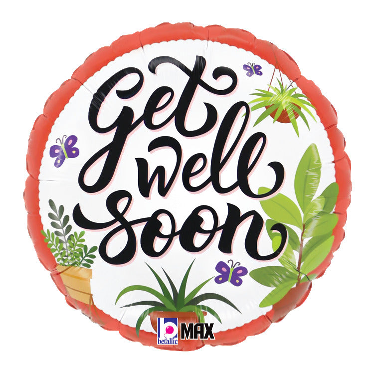 Get Well Soon Plants