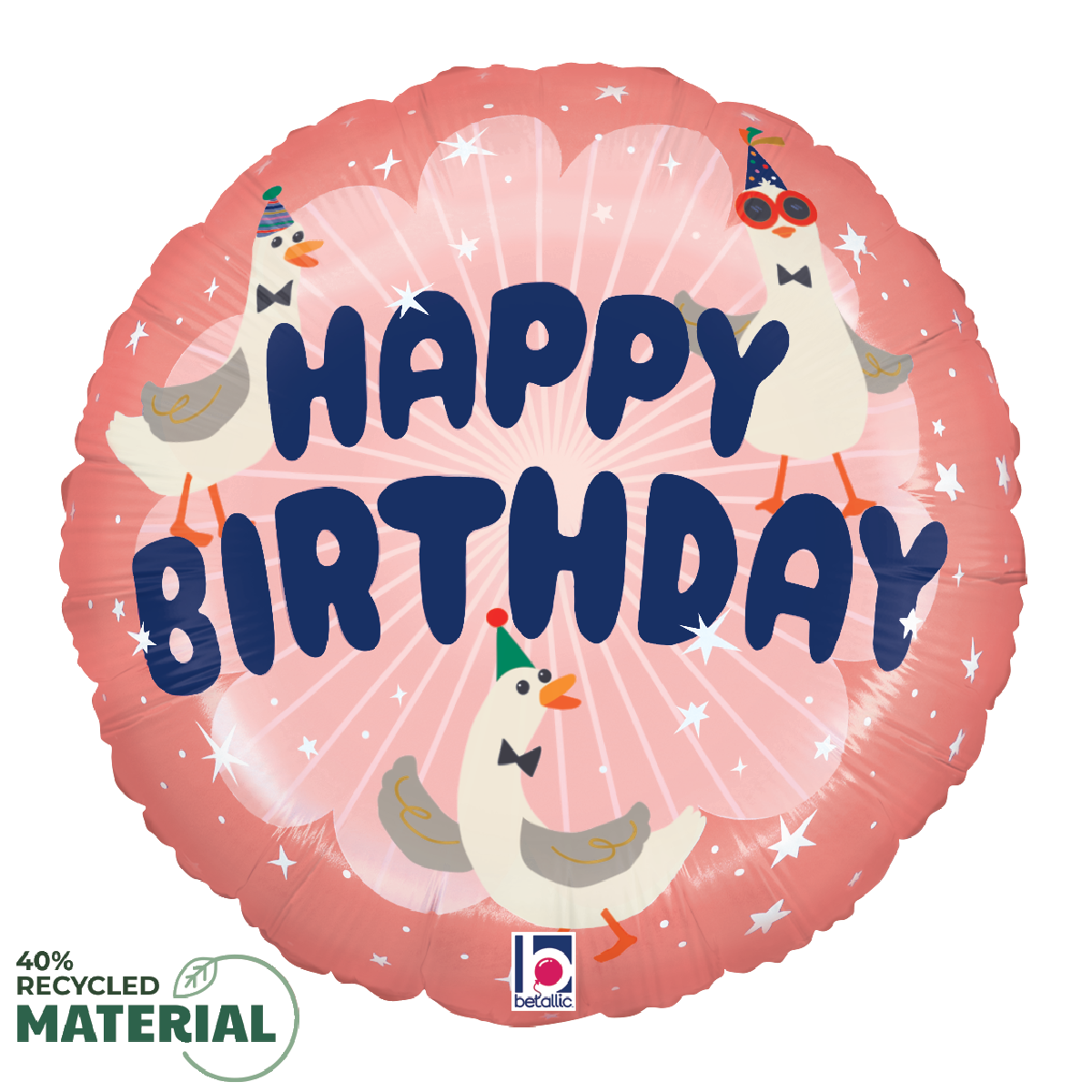 Silly Goose Birthday Party