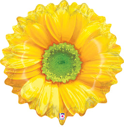 Bright Blooms Dots
