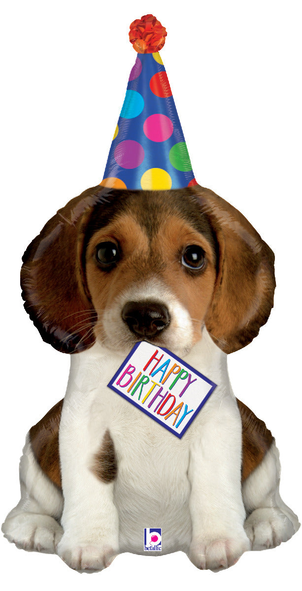 Birthday Puppy