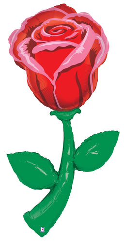 Fresh Picks Single Red Rose